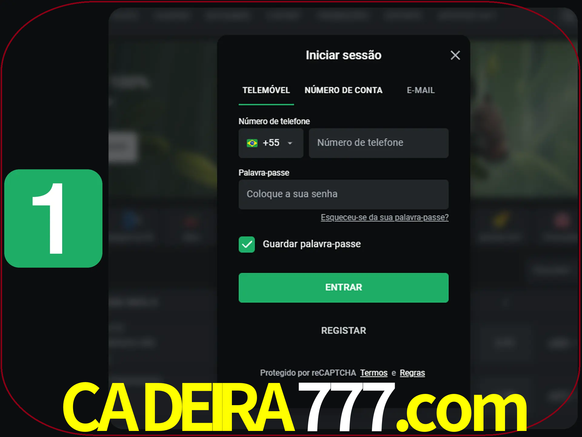 Clique no botão Entrar.